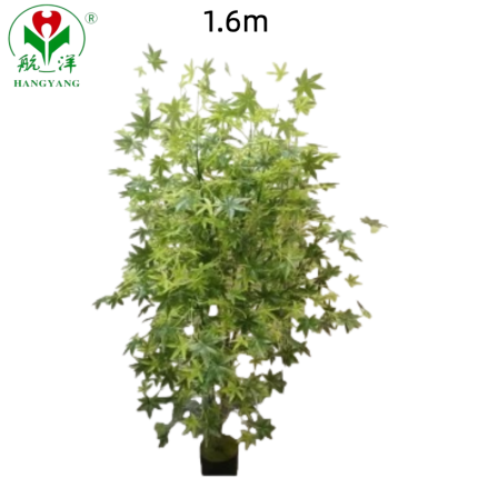 Wholesale Green Maple