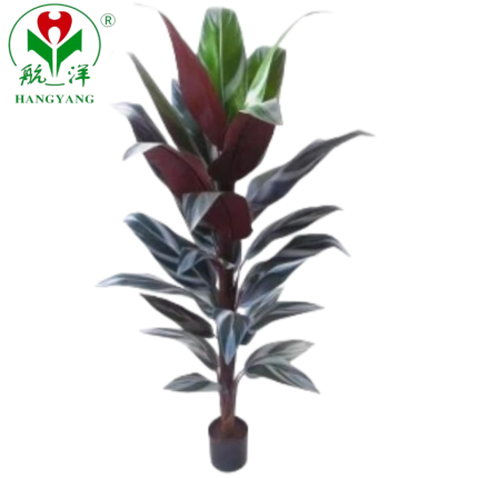 Custom Simulation Canna