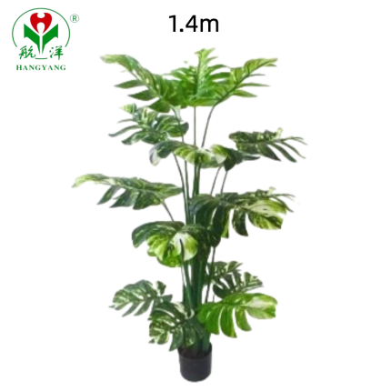 Wholesale Three