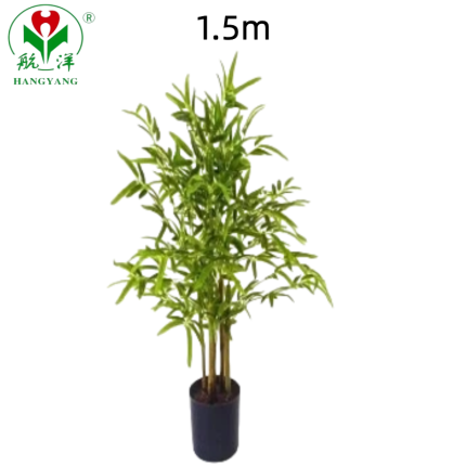Wholesale Bamboo Tree