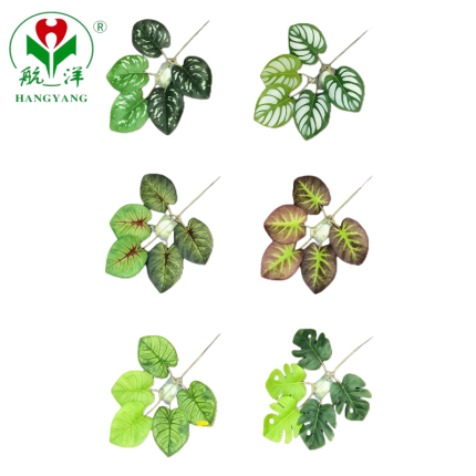 Wholesale Green Plant