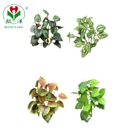 Plant Factory
