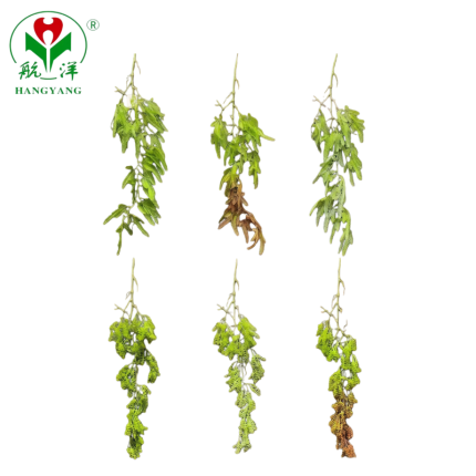 Design Artificial Hanging Vines Factory