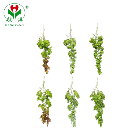 Design Ivy Vines Factory