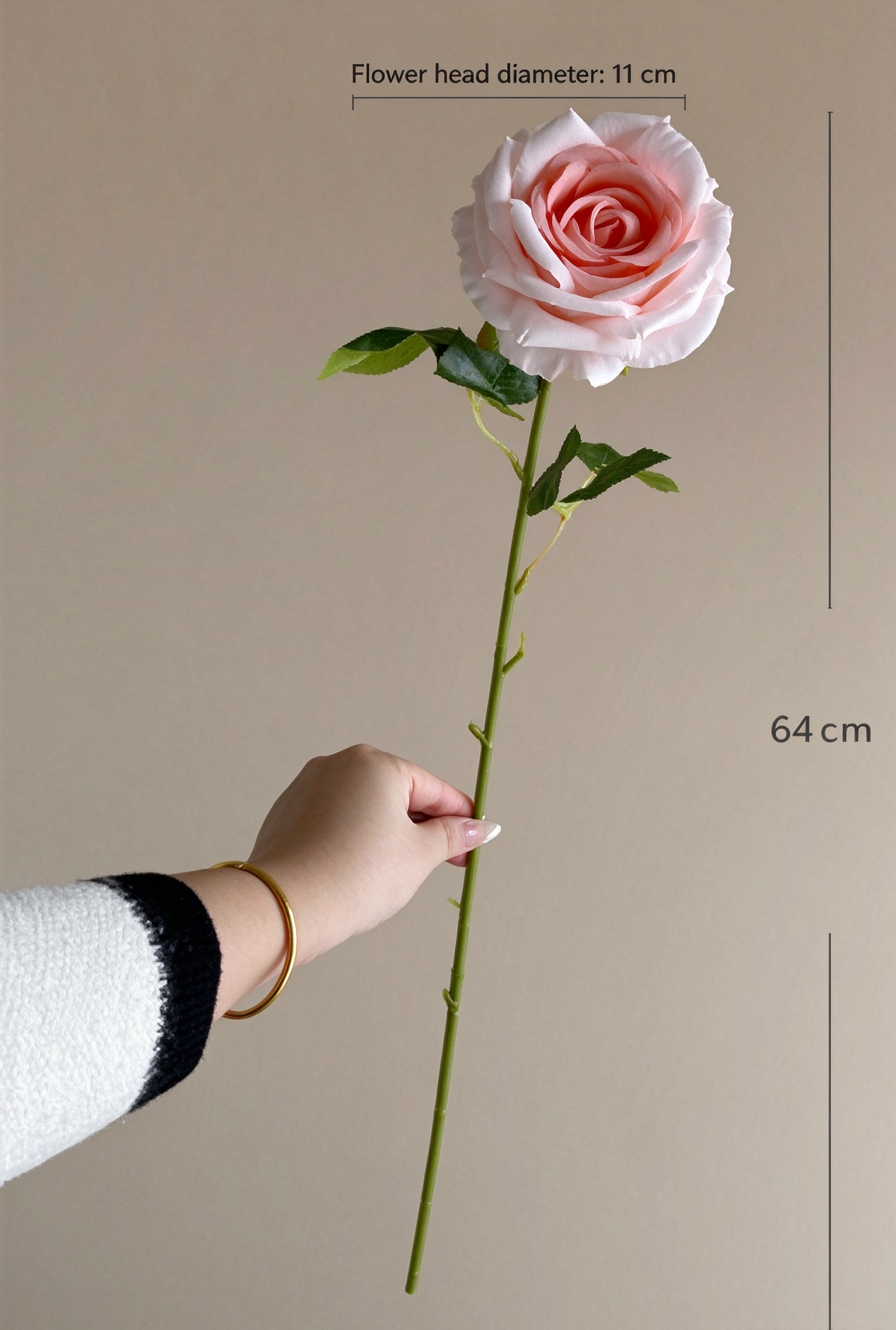 Mark the flower head diameter as 11 cm